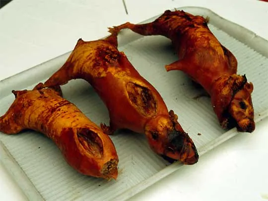 На фото: национальное блюдо из морской свинки Колумбия