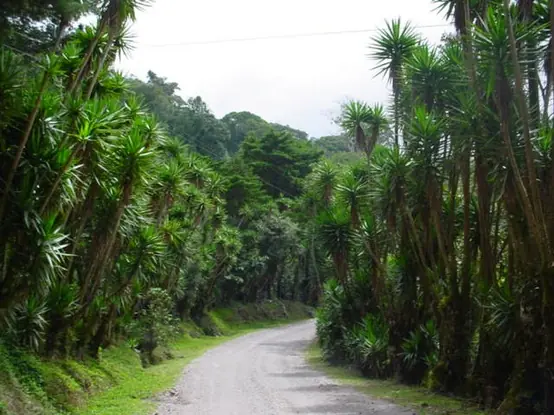 На фото: город Матагальпа (Matagalpa) в Никарагуа