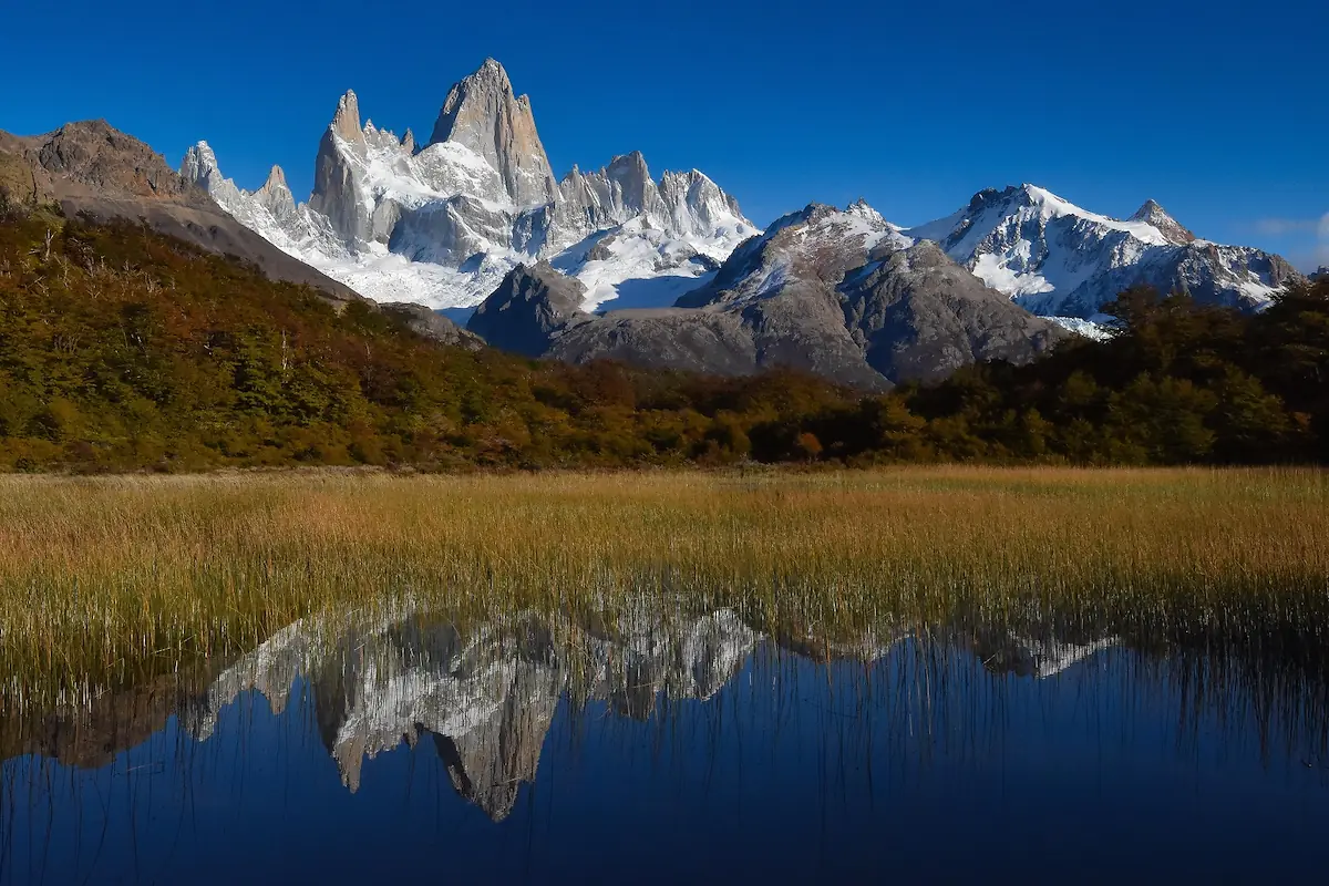 День 6: Пуэрто Наталес- (Чили)- Эль Калафате   ( Аргентина) -5