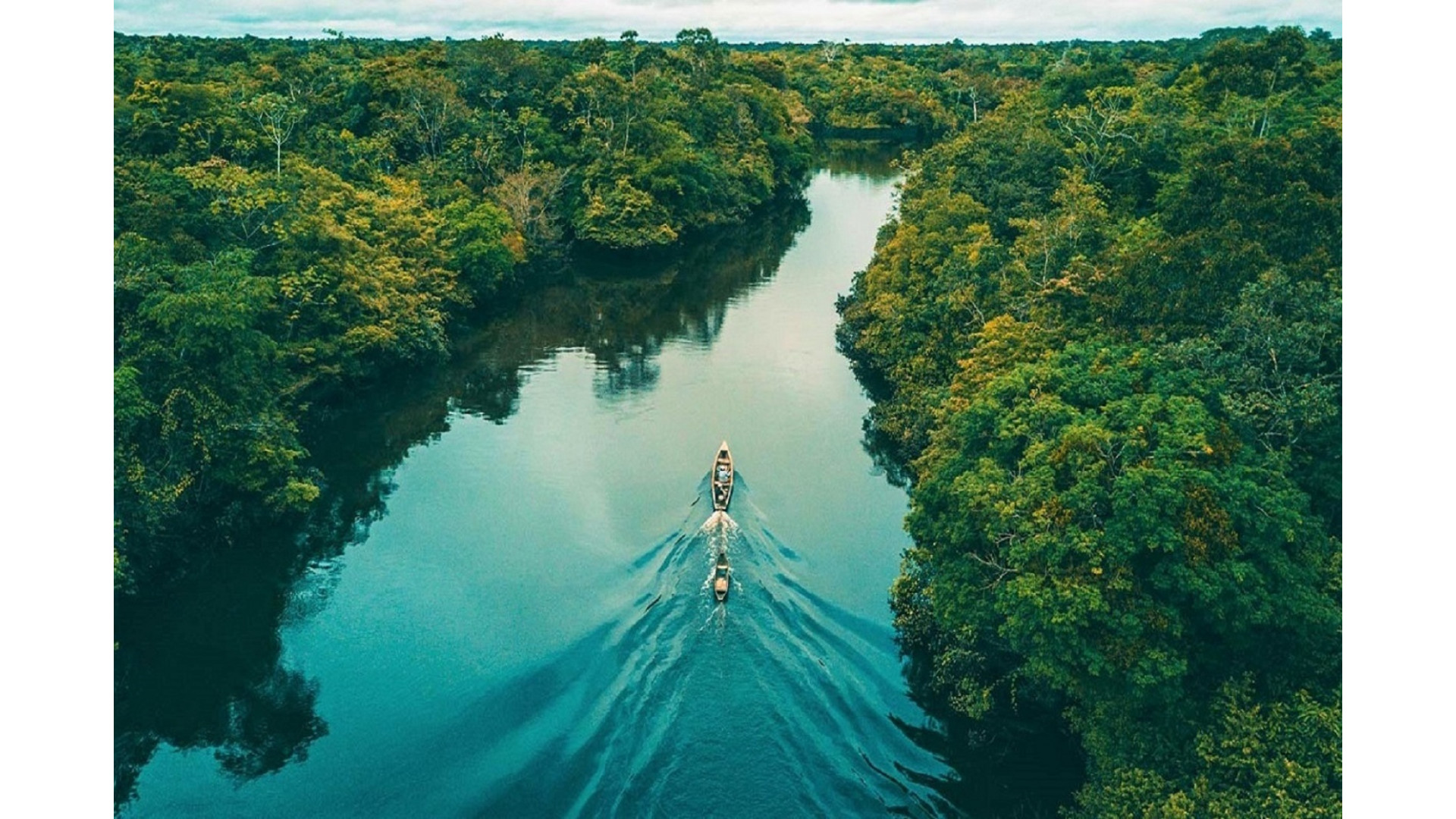 Самая полноводная река бразилии. Река Амазонка в Бразилии. Южная Америка река Амазонка. Перу река Амазонка. Фото амазонки реки в Бразилии.