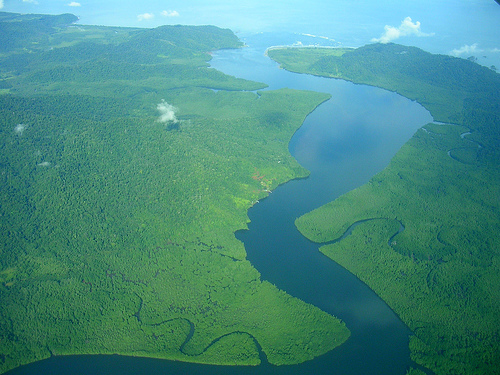 На фото: эко-туризм на полуострове Оса в Коста-Рике