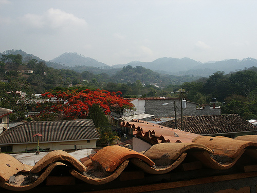 На фото: руины Копана в Гондурасе