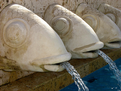 На фото: остров Маргариты в Венесуэле