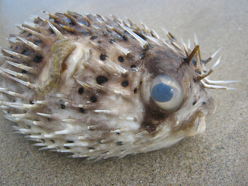 На фото: остров Маргариты в Венесуэле