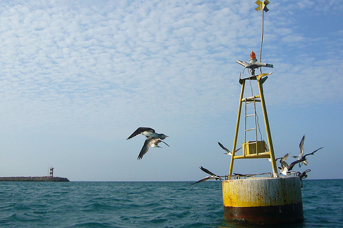 На фото: город Манта в Эквадоре