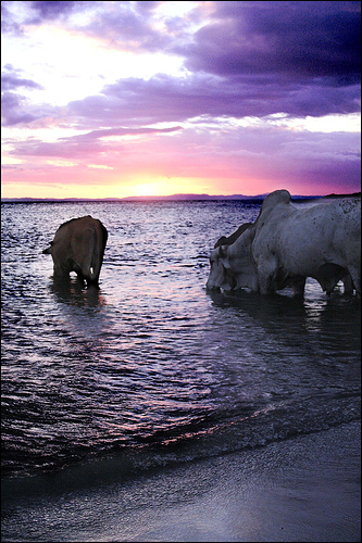 На фото: пляжи Никарагуа