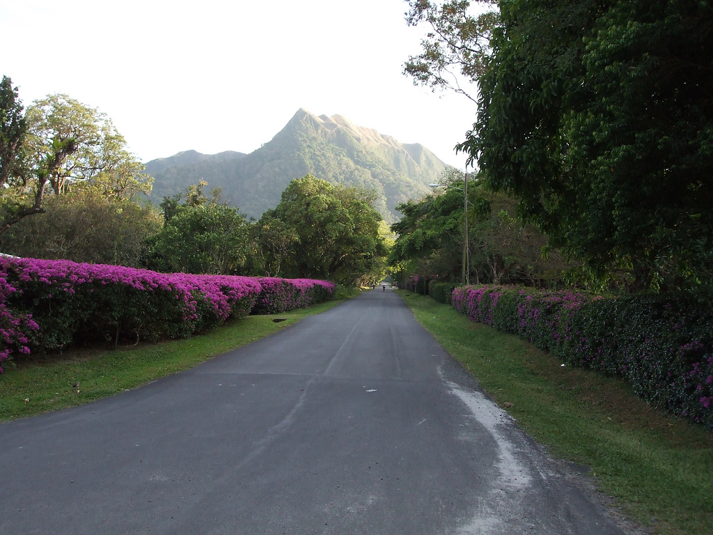 На фото: горный курорт Эль Валле в Панаме