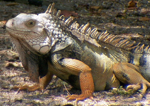 На фото: курорт Санта-Марта в Колумбии