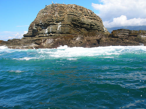 На фото: эко-туризм на полуострове Оса в Коста-Рике