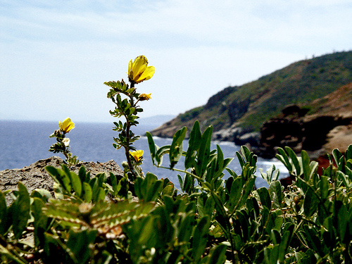 На фото: остров в Венесуэле