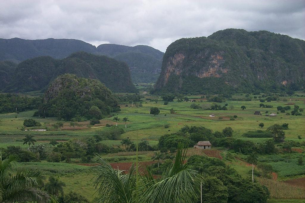 На фото: Провинция Пинар-дель-Рио на острове Куба
