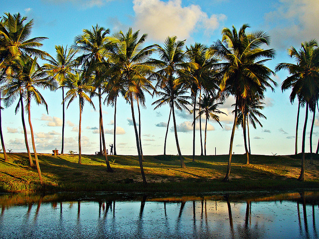 На фото: бразильский курорт Коста ду Сауипе