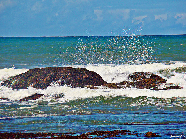 На фото: бразильский курорт Коста ду Сауипе