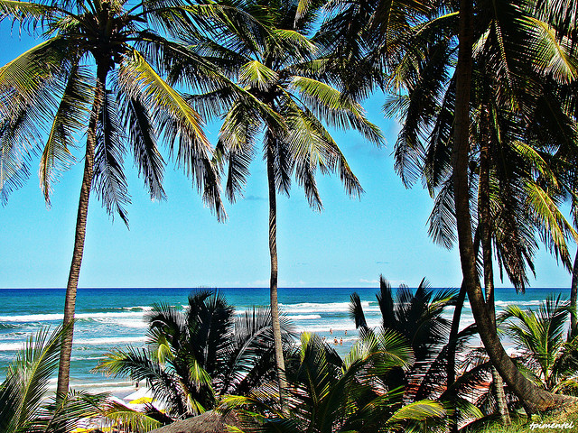 На фото: бразильский курорт Коста ду Сауипе