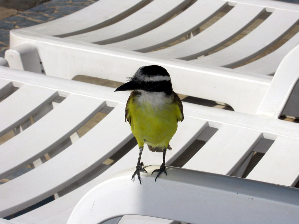 На фото: бразильский курорт Коста ду Сауипе