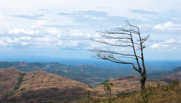 На фото: заповедник Чагрес в Панаме