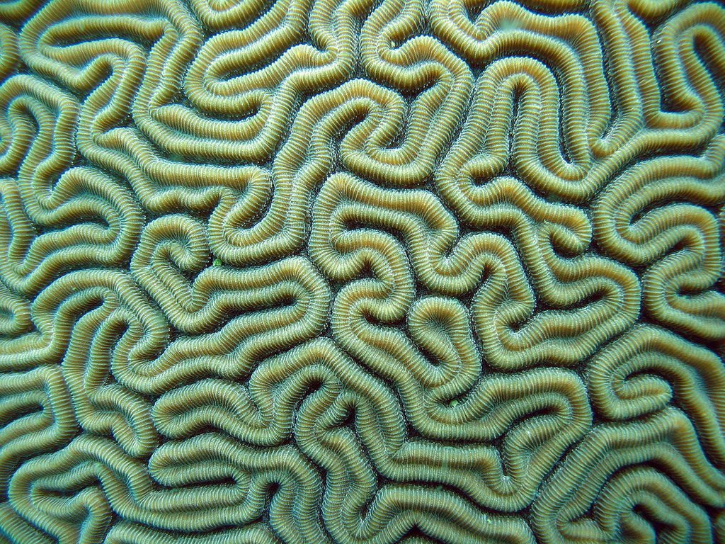 На фото: город Портобело в Панаме