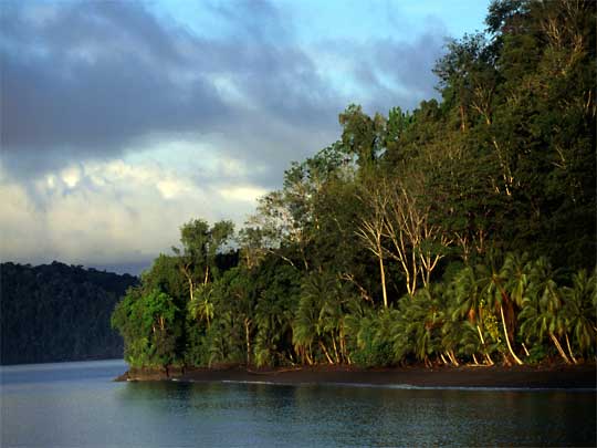 На фото: эко-туризм на полуострове Оса в Коста-Рике