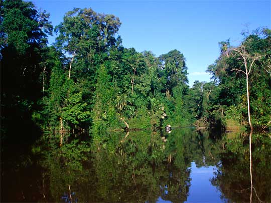 На фото: Лимон в Коста-Рике на Карибском море