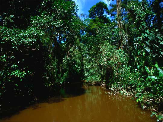 На фото: столица Коста-Рики, город Сан-Хосе