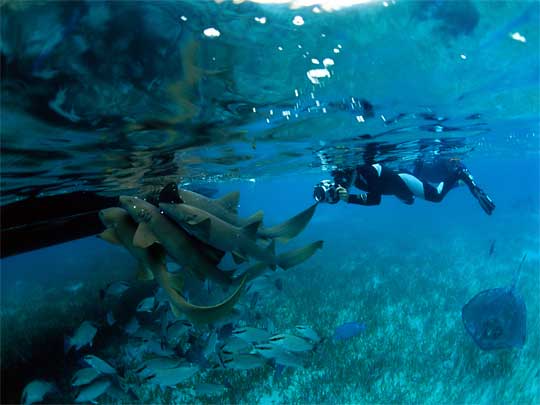 На фото: остров Амбергрис-Кайе, Белиз 