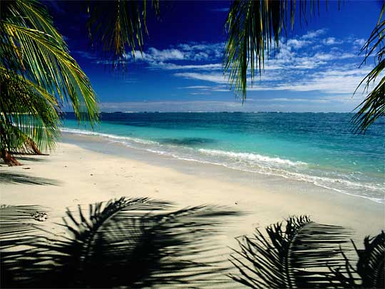 На фото: пляж Лимон в Коста-Рике на Карибском море