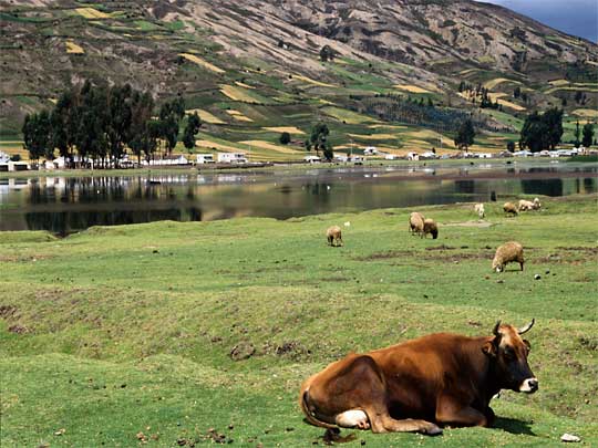 На фото: Пуэрто-Вьехо де Таламанка в Коста-Рике