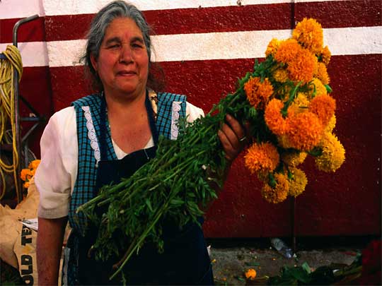 На фото: город Морелия в Мексике