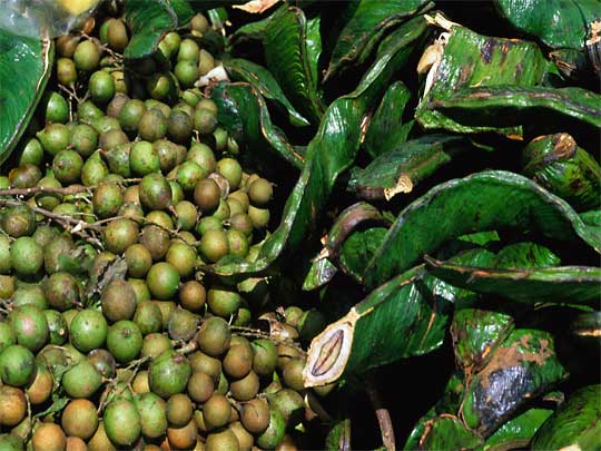 На фото: колумбийский кофе