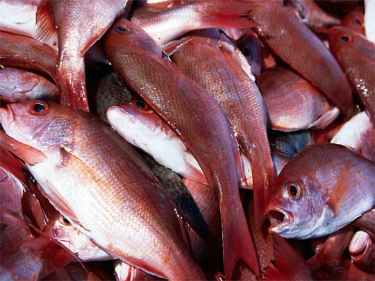 На фото: морской курорт Сан-Хуан-дель-Сур в Никарагуа