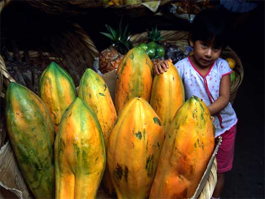 На фото: город Гранада в Никарагуа