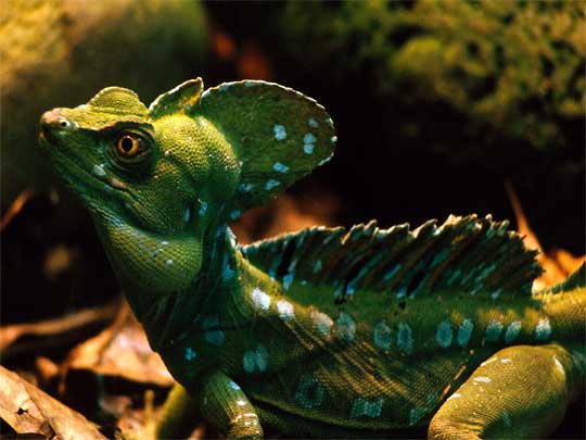 На фото: столица Коста-Рики, город Сан-Хосе