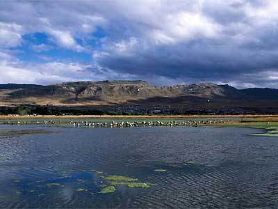 На фото: Патагония (Эль Калафате) в Аргентине
