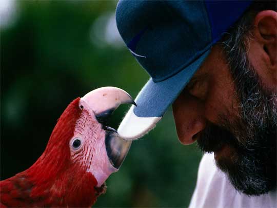 На фото: столица Коста-Рики, город Сан-Хосе