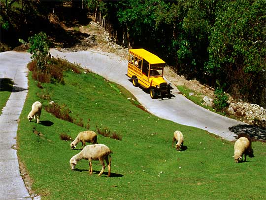 На фото: окрестности города Мерида в Венесуэле