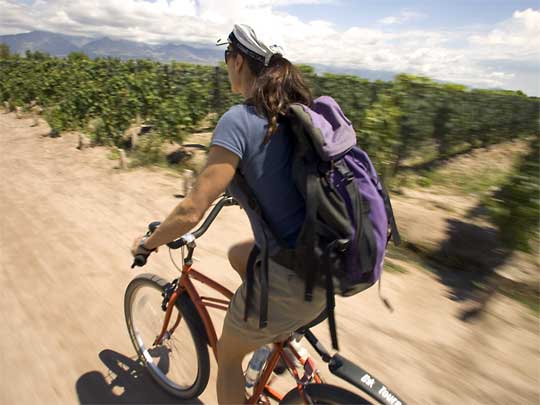 На фото: винный регион и город Мендоса в Аргентине