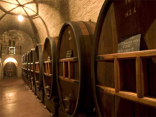 На фото: винный регион и город Мендоса в Аргентине