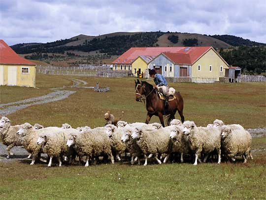 На фото: Пунта Аренас в Чили (Патагония)