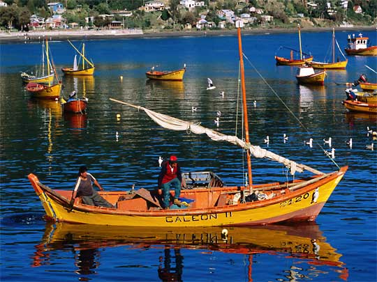 На фото: Вальдивия в Чили