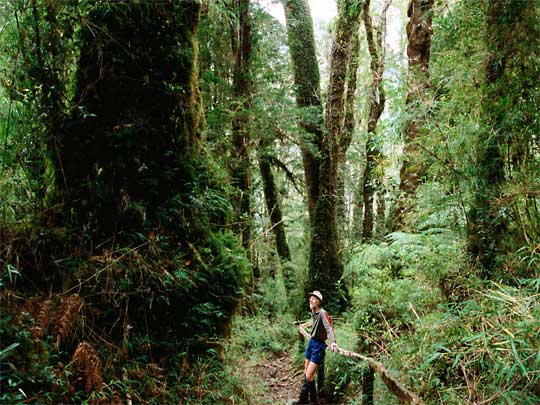 На фото: Вальдивия в Чили