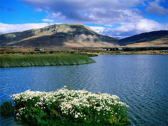 На фото: Патагония (Эль Калафате) в Аргентине