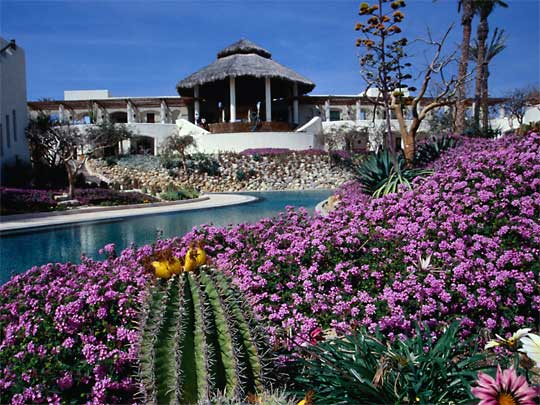 На фото: Кабо-Сан-Лукас в Мексике