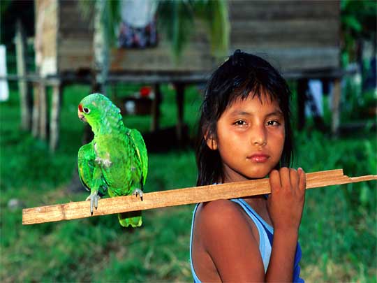 На фото: архипелаг Бокас дель Торо в Панаме