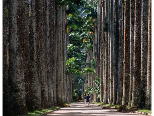 На фото: туристическая столица Бразилии, город Рио-де-Жанейро