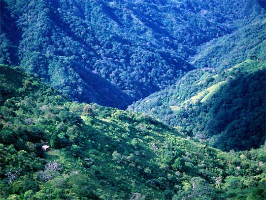 На фото: в Коста-Рике на курорте Хако (Jaco)