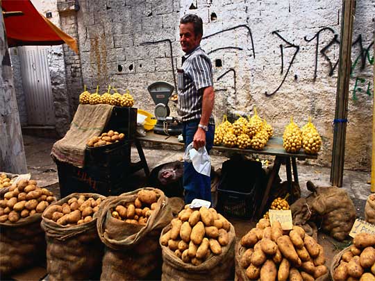 На фото: город Сан-Паулу в Бразилии
