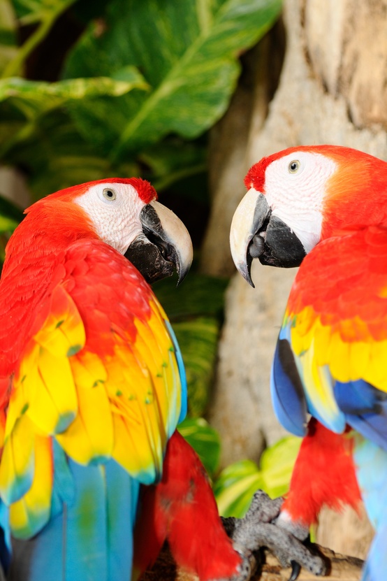 На фото: столица Никарагуа. город Манагуа