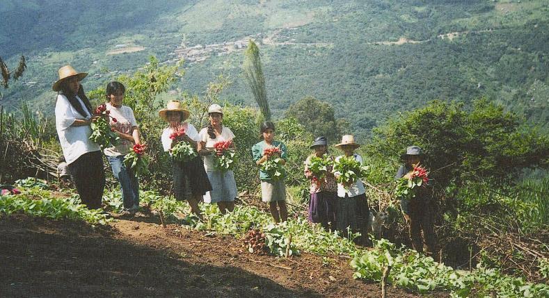 На фото: город Чиклайо в Перу