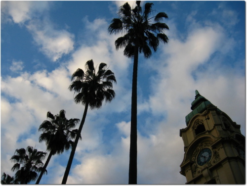 На фото: город Порту Алегри в Бразилии