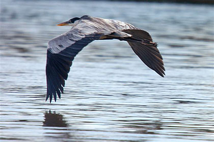 На фото: Санта Елена де Уайрен в Венесуэле